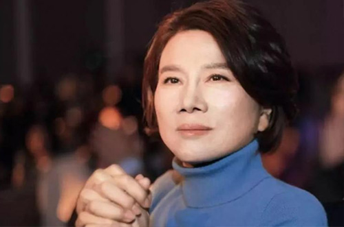 董老板500億財(cái)力準(zhǔn)備，助力芯片行業(yè)發(fā)展